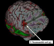 neurones_miroirs_humanite.JPG
